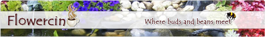 florist caringbah